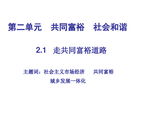 九年级《走共同富裕道路》课件