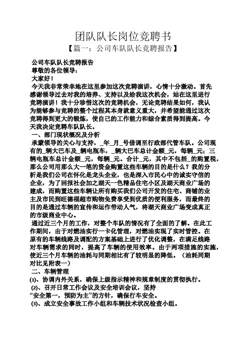 团队队长岗位竞聘书