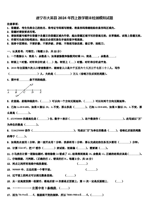 遂宁市大英县2024年四上数学期末检测模拟试题含解析