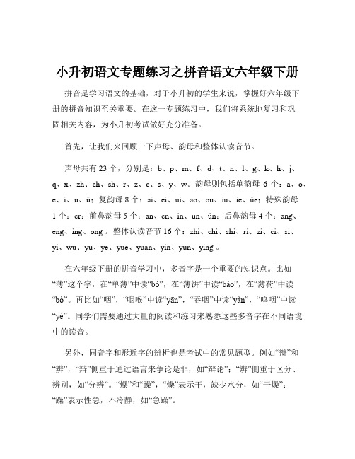 小升初语文专题练习之拼音语文六年级下册