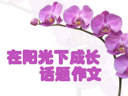 在阳光下成长话题作文PPT课件