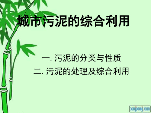 城市污泥的综合利用总结整理