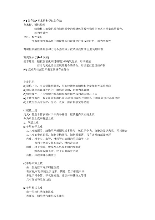 组胚总结