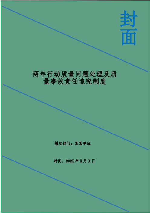 两年行动质量问题处理及质量事故责任追究制度