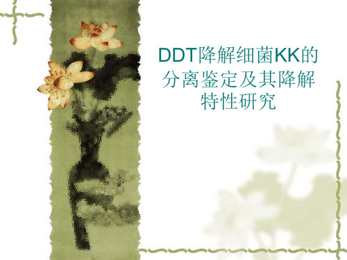 DDT降解细菌KK的分离鉴定及其降解特性研究