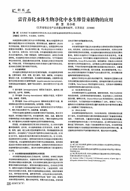 富营养化水体生物净化中水生维管束植物的应用