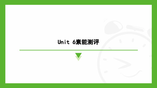 +Unit+6素能测评课件+2024-2025学年人教版(2024)七年级英语上册(河南专用)