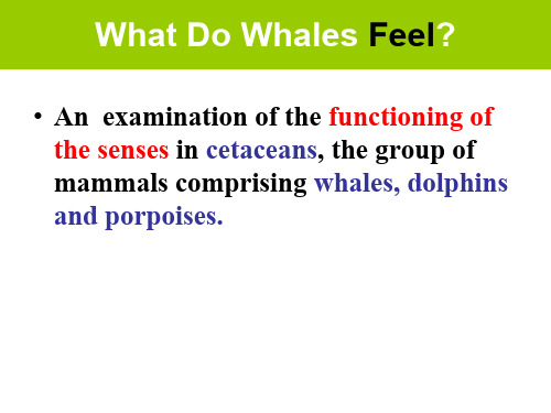 Cambridge IELTS 4 Test 1Reading Passage 2