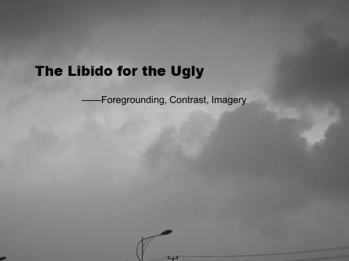 《The Libido for the Ugly》浅析