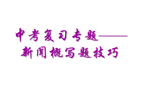 中考复习专题——新闻概括题