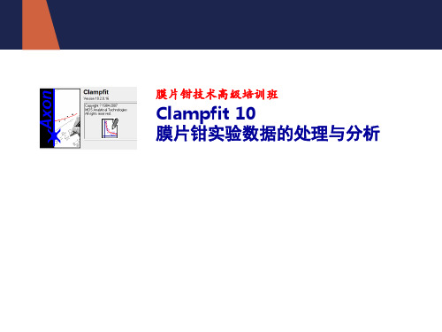 膜片钳技术数据处理与分析  ppt课件