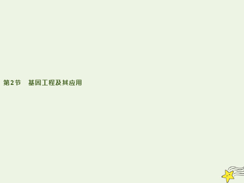 新人教版必修2高中生物第6章第2节基因工程及其应用 