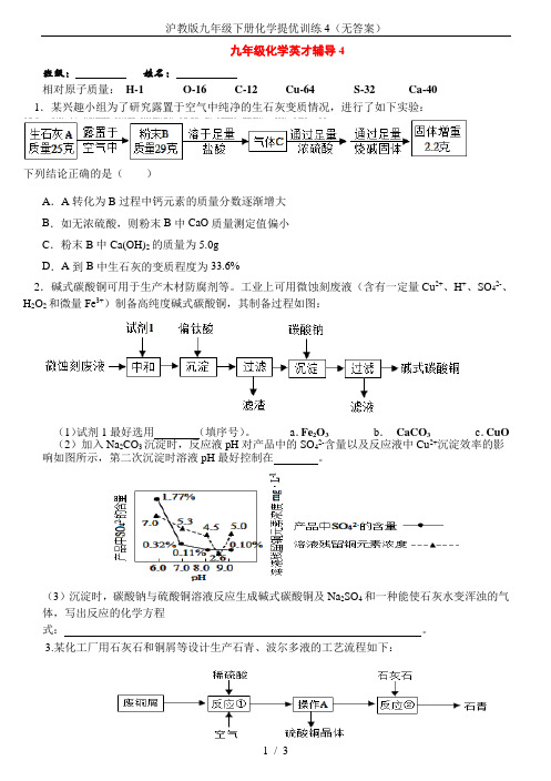 沪教版九年级下册化学提优训练4(无答案)