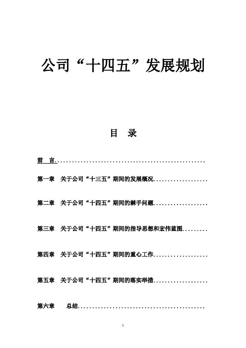 公司十四五发展规划