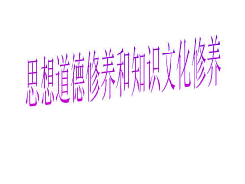 高二政治思想道德修养和知识文化修养3