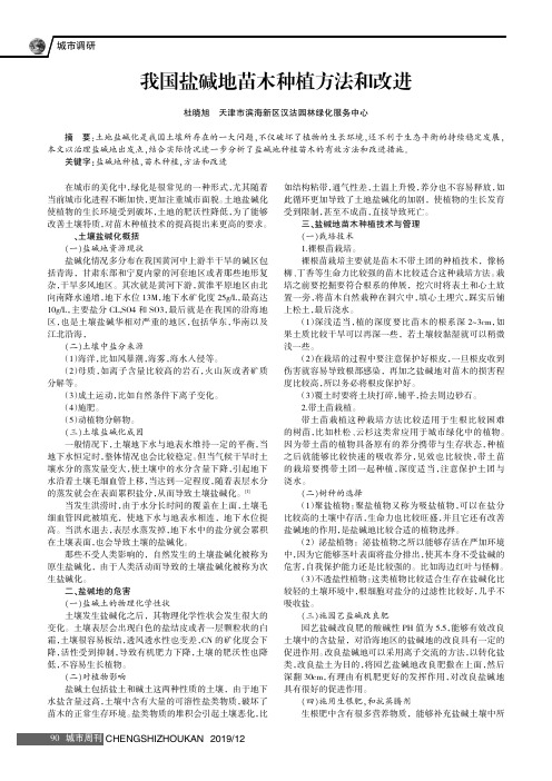 我国盐碱地苗木种植方法和改进