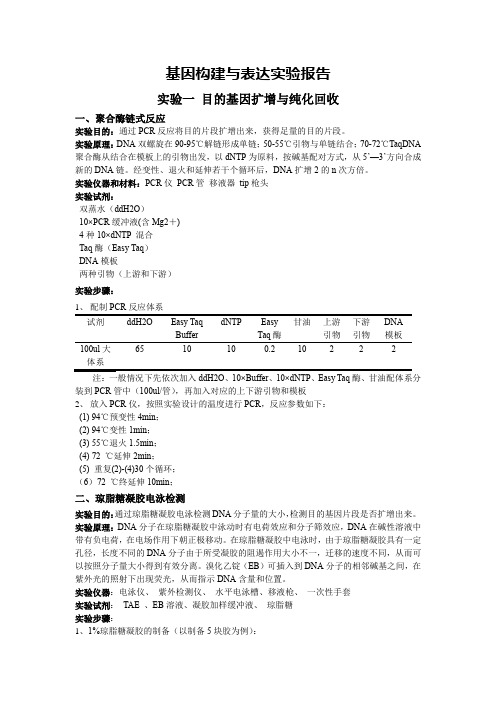 融合蛋白表达实验报告