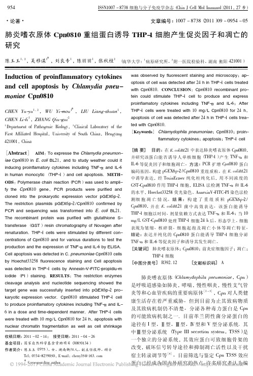 实验参照-肺炎嗜衣原体Cpn0810重组蛋白诱导THP_1细胞产生促炎因子和凋亡的研究