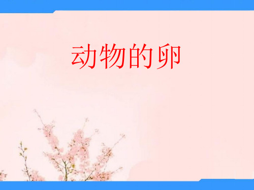 教科版科学四下《动物的卵》课件2