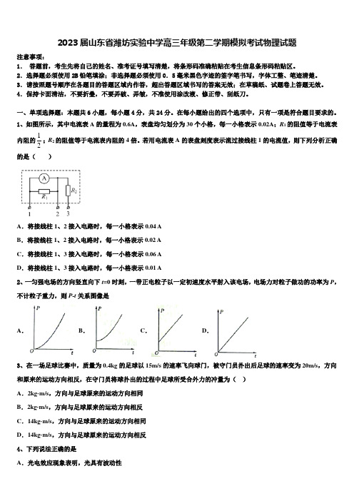 2023届山东省潍坊实验中学高三年级第二学期模拟考试物理试题