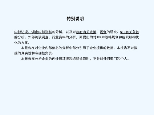 江苏XX集团战略和组织结构咨询报告北大纵横