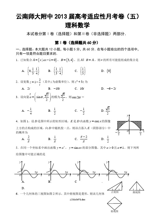 云南师大附中2013届高考适应性月考卷(五)理科数学卷及答案