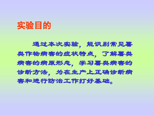 薯类作物病害ppt课件.ppt