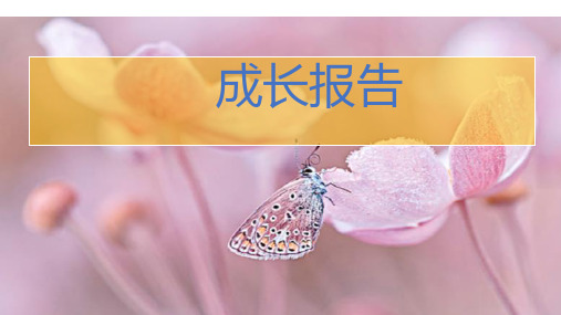 成长报告