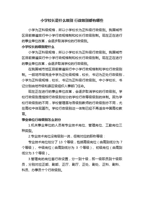 小学校长是什么级别行政级别都有哪些