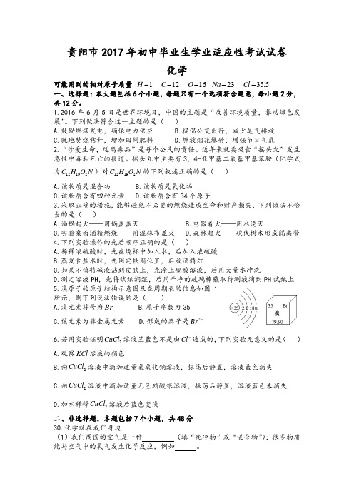 贵州省贵阳市2017年中考适应性考试化学试卷