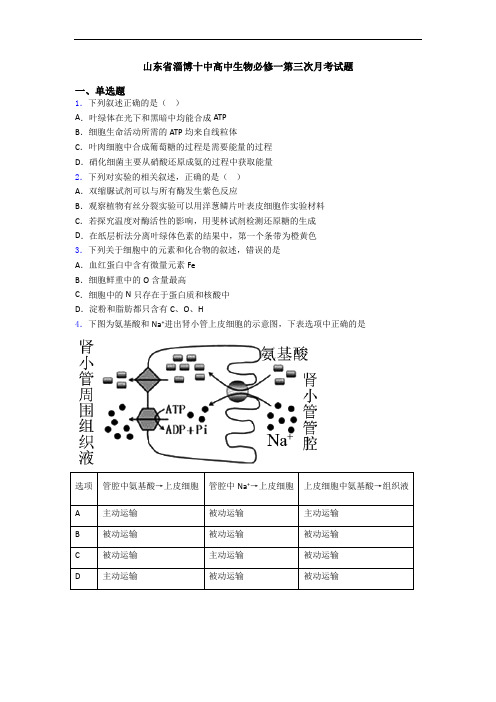 山东省淄博十中高中生物必修一第三次月考试题