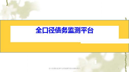 全口径债务监测平台系统操作培训(填报用户)ppt课件
