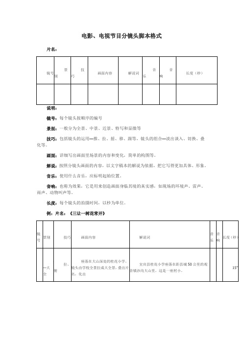 分镜头格式脚本及名词解释