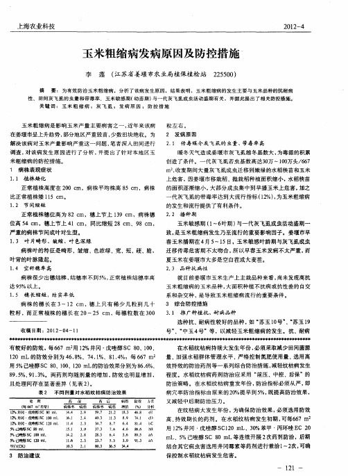 玉米粗缩病发病原因及防控措施