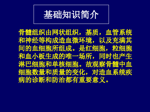 骨髓细胞形态学检查 教学课件