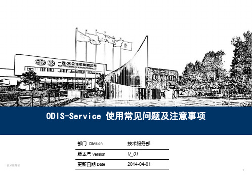 ODIS-Service 使用常见问题及注意事项