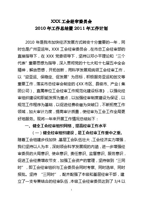 经审2010年工作总结