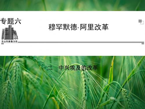 6.2 中兴埃及的改革课件 人民版选修1课件