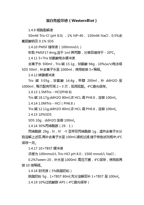 蛋白免疫印迹（WesternBlot）