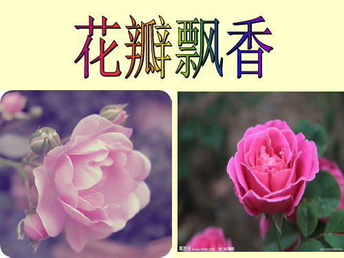 第六课《花瓣飘香》课件