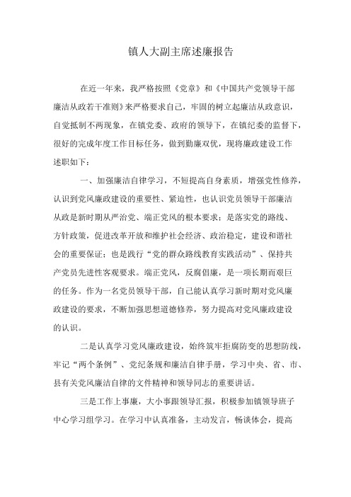 镇人大副主席述廉报告