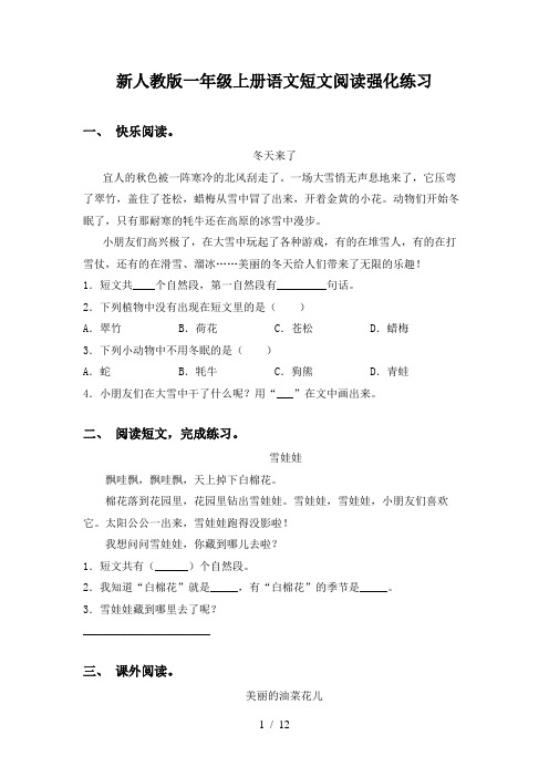 新人教版一年级上册语文短文阅读强化练习