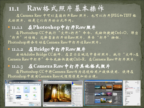 第11章 使用Camera Raw 8.0处理照片[11页]