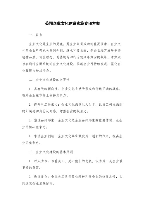 公司企业文化建设实施专项方案