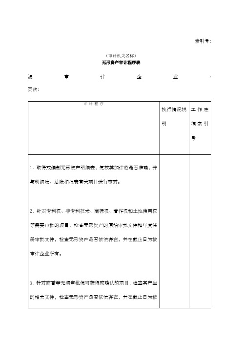 非流动资产无形资产审计程序表