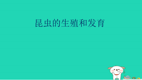 新人教版八年级生物下册第二节_昆虫的生殖和发育 (1)ppt课件