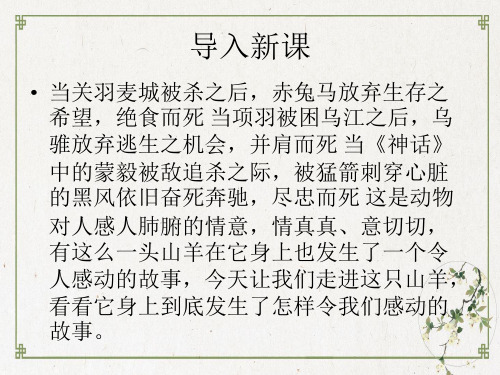 【优选】人教版选修系列《外国小说欣赏》第七《山羊兹拉特》PPT课件
