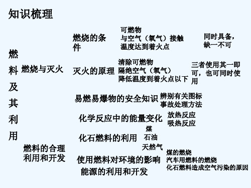 燃料及其利用课件ppt