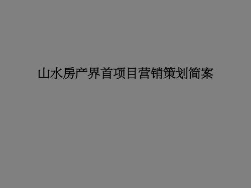 营销策划-安徽界首某房地产项目营销策划案