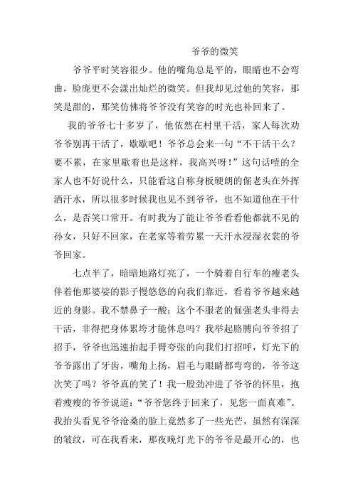 爷爷的微笑文档